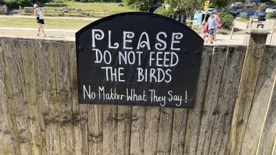 26. Mai – Lulworth Cove Bucht Rundwanderung
